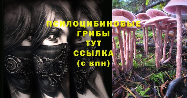 спайс Абинск