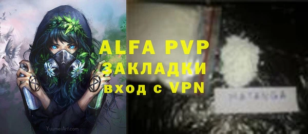 тгк Абаза