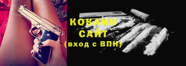 тгк Абаза