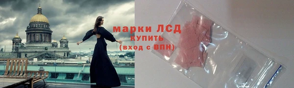 тгк Абаза