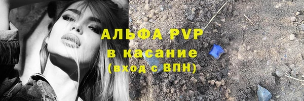 тгк Абаза