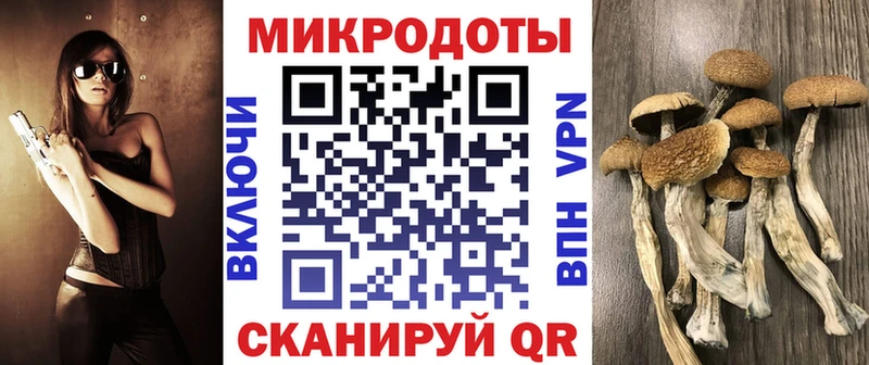 Псилоцибиновые грибы Cubensis сколько стоит MEGA ONION Дербент